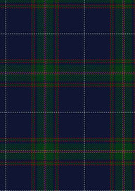 Carruthers George Tartan Fabric