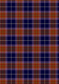  Kane Arran Tartan Fabric