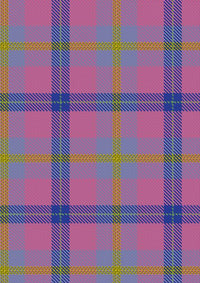 Aliam Tartan Fabric
