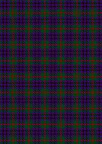 Austin_Wilsons_No137_Tartan_Fabric_269