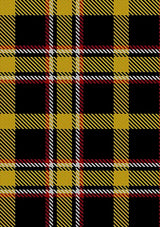 Brady_George_and_Family_Tartan_Fabric_13737