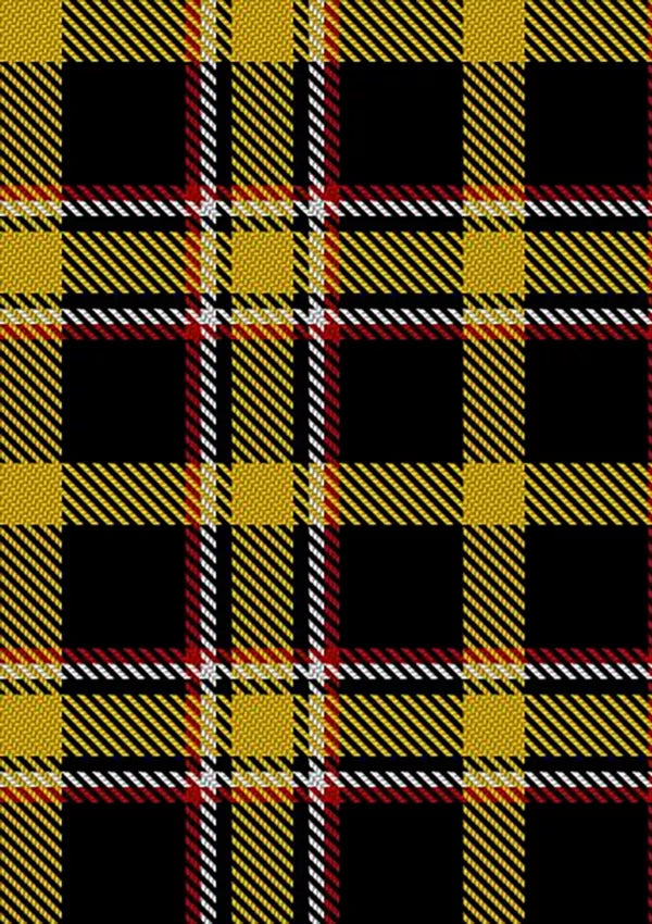 Brady_George_and_Family_Tartan_Fabric_13737