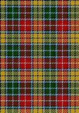 Buchanan_1800_Tartan_Fabric_4571