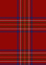 Burnett_of_Leys_Dress_Tartan_Fabric_1430