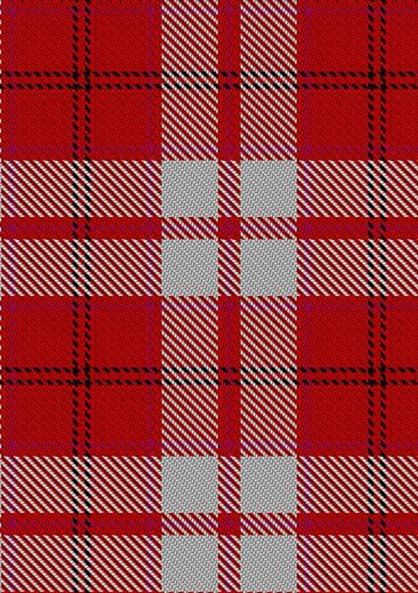Cameron_Hose_2_Tartan_Fabric_1598