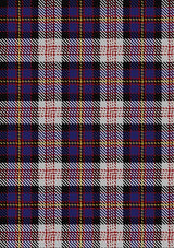 Cameron_of_Erracht_Dress_Tartan_Fabric_1871