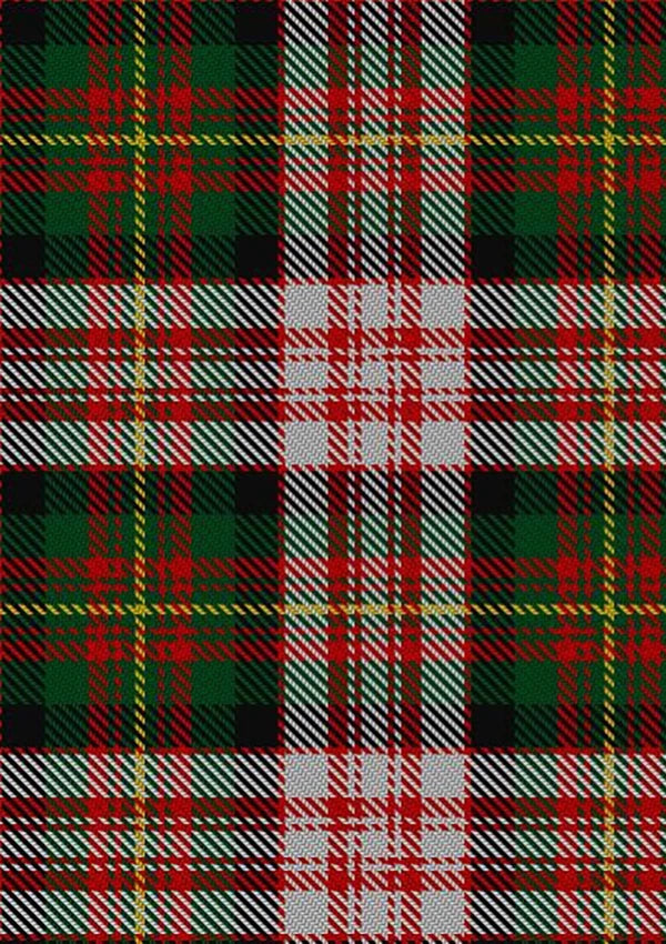 Carnegie_Dress_Tartan_Fabric_1869