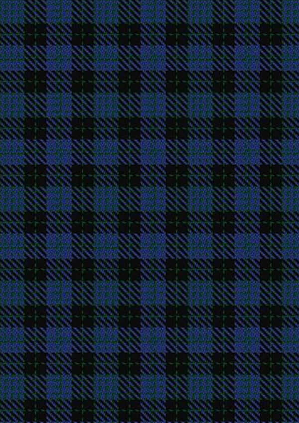 Clergy_Green_lines_2_Tartan_Fabric_111