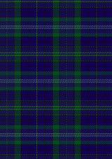 Davies_Tartan_Fabric