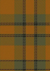 Donachie_of_Brockloch_Ancient_Hunting_Tartan_Fabric_6004