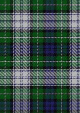 Forbes_Dress_Tartan_Fabric_293