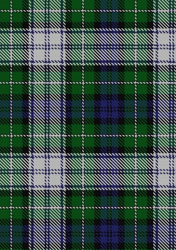 Forbes_Dress_Tartan_Fabric_293