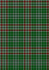 Gayre_Dress_Tartan_Fabric_161