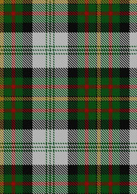 Gillies_Dress_Green_Tartan_Fabric_638