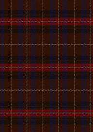 Griffiths Of Wales Tartan Fabric