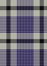 Hanna_Bible_Personal_Tartan_Fabric_619