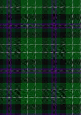 Hibs_Tartan_Fabric