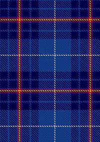 Higgins_School_of_Highland_Dance_Tartan_Fabric_14354