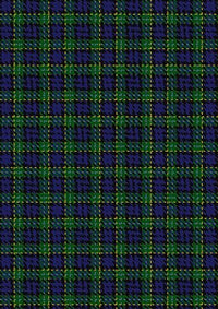 Hogarth_of_Firhill_Tartan_Fabric_198
