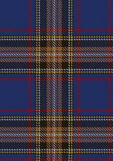 Lady_Diana_Plaid_Tartan_Fabric_484