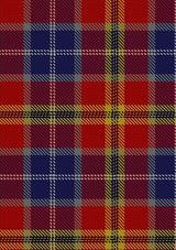 Lermontov_Tartan_Fabric_6493