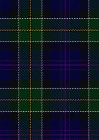 Leung_Personal_Tartan_Fabric_2984