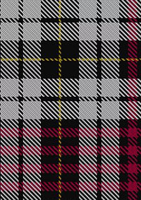 Little Dress Tartan Trouser
