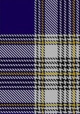 Livingstone_Dress_Tartan_Fabric_650