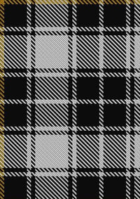 MacFie_of_Colonsay_Dress_Tartan_Fabric_3369