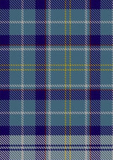 MacHinery_Dress_Tartan_Fabric_3389