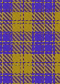 MacLachlan_5_Tartan_Fabric_6272