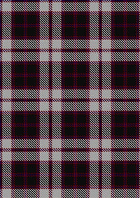 MacPherson_of_Pitmain_Tartan_Fabric_3558