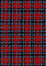 MacTavish_Thompson_Thomson_1880_Tartan_Fabric_229