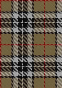 MacTavish_Thompson_Thomson_Camel_Tartan_Fabric_2421