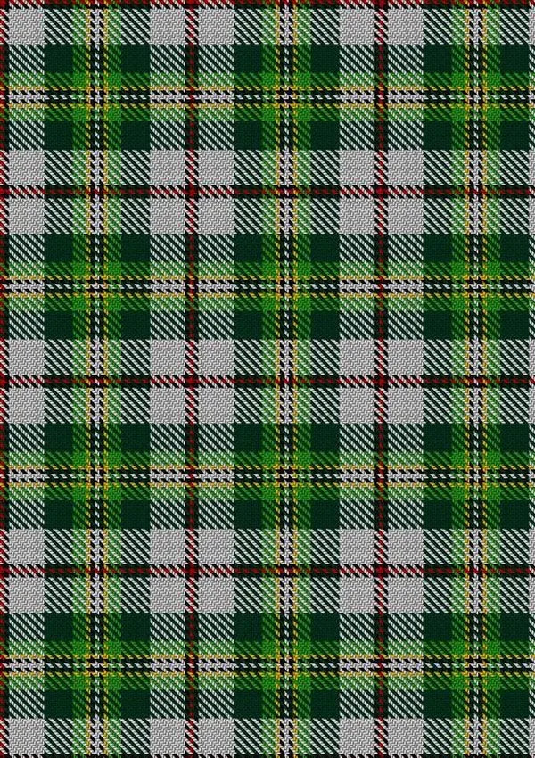 Madewell_Dress_Tartan_Fabric_4051