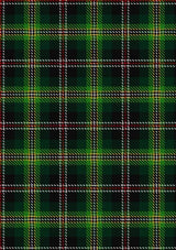Madewell_Tartan_Fabric_4024