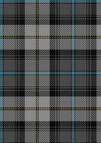 McCandlish_Dress_Grey_Tartan_Fabric_3327