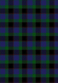 Meoni_Personal_Tartan_Fabric_4124