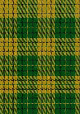 Meredith_of_Wales_Tartan_Fabric_6167