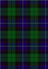 Mitchell_2_Tartan_Fabric_3178