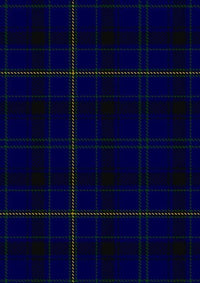 Moon_New_Maldon_Surrey_Tartan_Fabric_2744