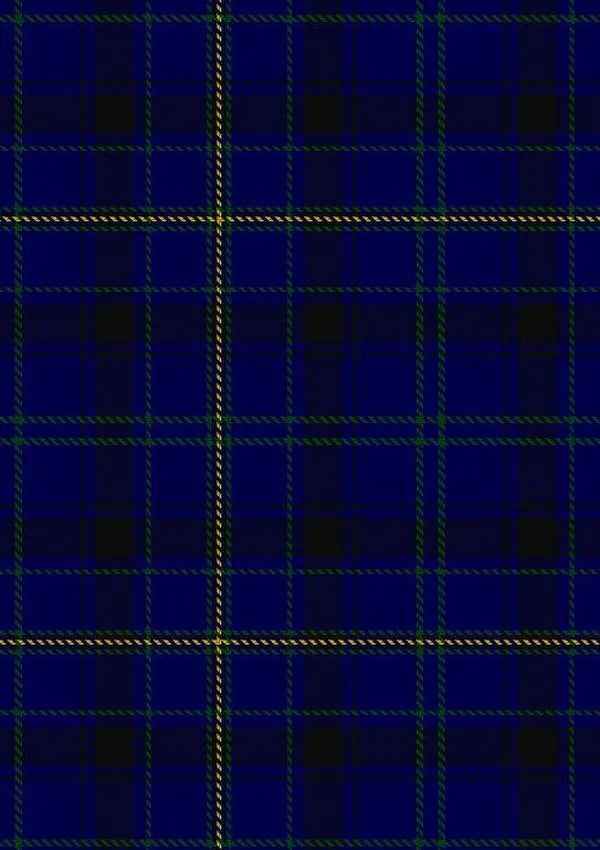 Moon_New_Maldon_Surrey_Tartan_Fabric_2744