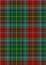 Muirhead_2_Tartan_Fabric_3099