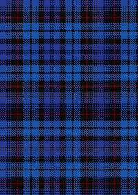 Mundigl_Tartan_Fabric_6066
