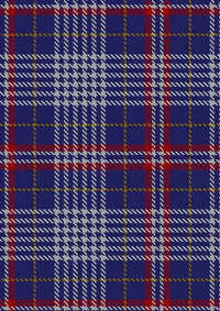 Parker_Dress_USA_Tartan_Fabric_6446
