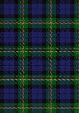 Paterson_Dalgleish_Version_Tartan_Fabric_3886