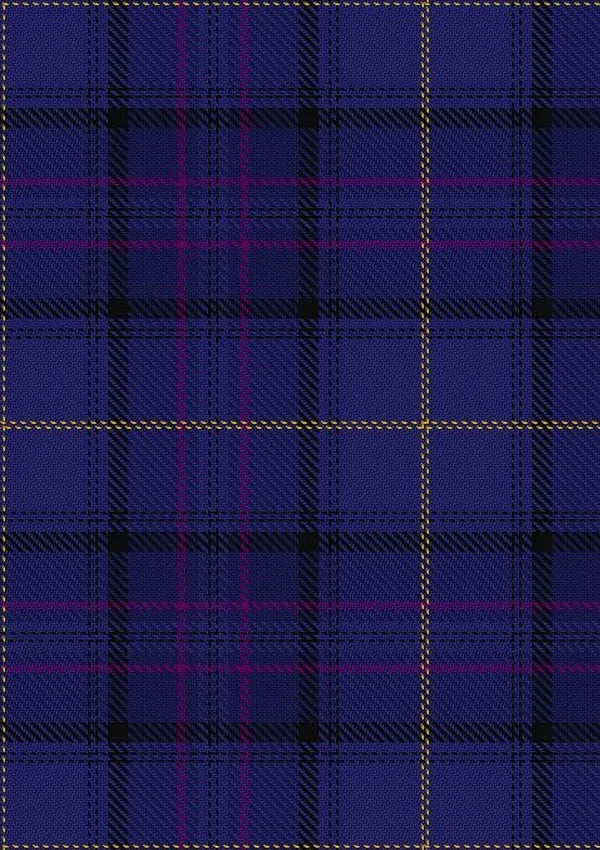 Payne_Tartan_Fabric_2554