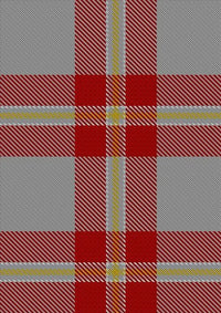 Perry_Arisaid_Personal_Tartan_Fabric_1304
