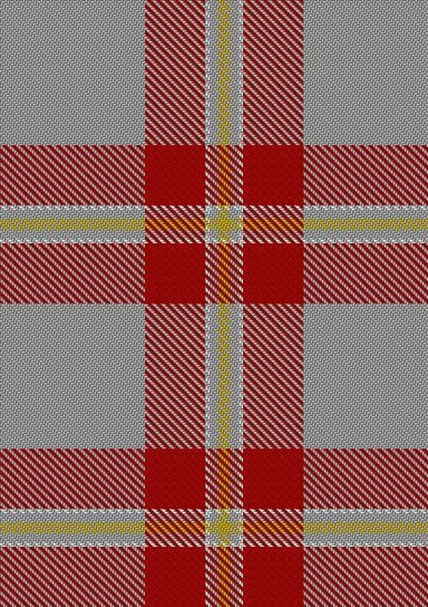Perry_Arisaid_Personal_Tartan_Fabric_1304