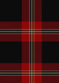 Perry_Pirrie_Personal_Tartan_Fabric_1212